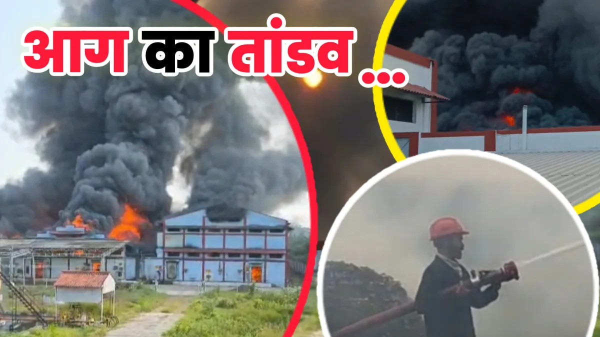जबलपुर : पारले-जी फैक्ट्री में भीषण आग, 10 करोड़ के नुकसान की आशंका, 1000 टन बिस्किट जलकर राख
